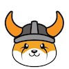 FLOKI
